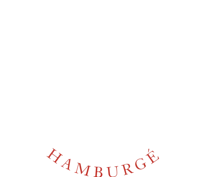 meilleur burger rennes